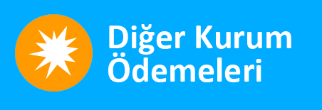 Di&gbreve;er Kurum &Ouml;demeleri