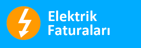 Elektrik Faturas&inodot;